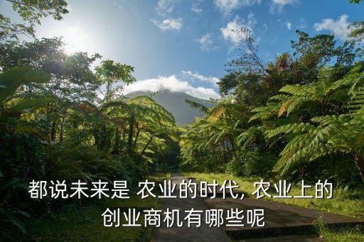 休闲农业属于什么创业项目,什么叫休闲农业项目