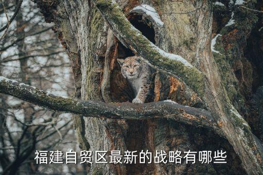 自贸港背景下怎么发展农业