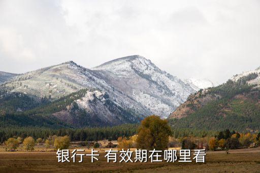 怎么看农业银行卡的有效期,农业银行卡到期日期怎么看
