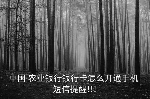 农业银行短信怎么接收,接收不到农业银行短信是怎么回事