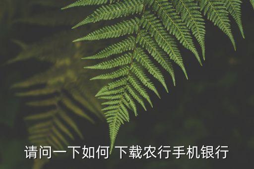 怎么样下载掌上农业银行,下载掌上农业银行app