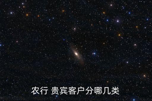 农业银行贵宾专享什么意思