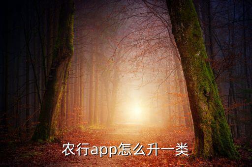农业银行1星怎么升级,手机农业银行怎么升级