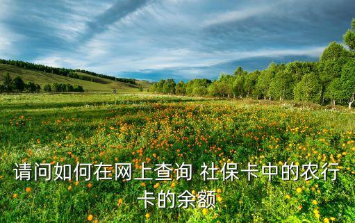 农业银行社保卡怎么查流水