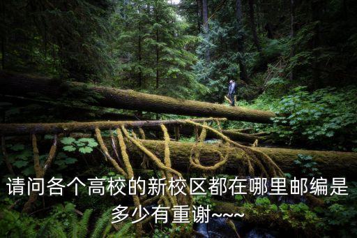 山东农业大学的编码是什么,山东省各大学代码及专业