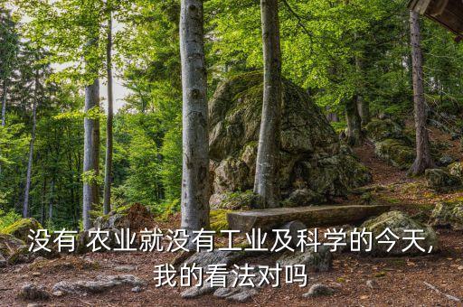 没有 农业就没有工业及科学的今天,我的看法对吗
