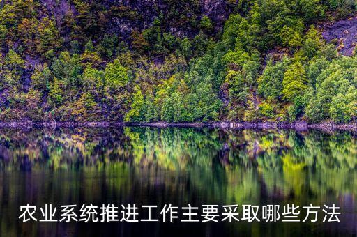  农业系统推进工作主要采取哪些方法