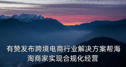  有赞发布跨境电商行业解决方案帮海淘商家实现合规化经营