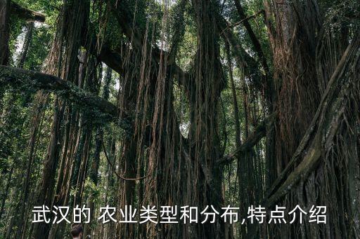 农业种植简介怎么写,种植项目简介怎么写