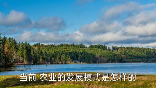 当前 农业的发展模式是怎样的