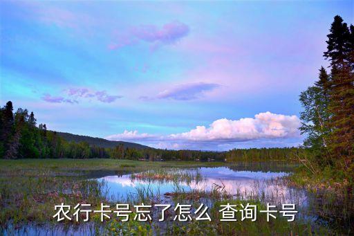 农业银行分理号怎么查询