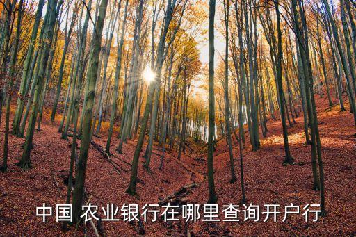中国 农业银行在哪里查询开户行