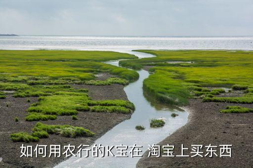 农业银行怎么开通淘宝网购
