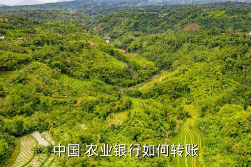 农业银行转帐日本怎么转