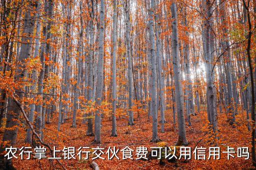 初一农业银行怎么付餐费