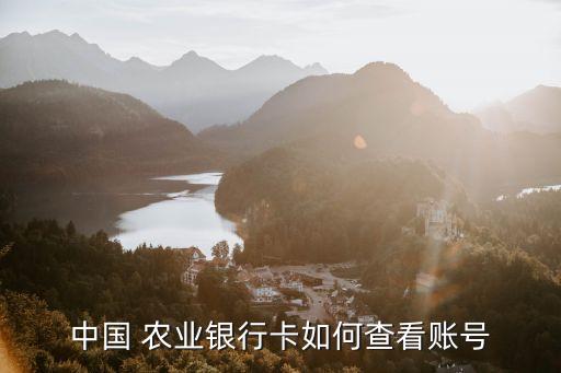 中国 农业银行卡如何查看账号
