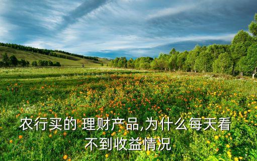 农业银行理财怎么查询不到,如何查询在农业银行买的理财