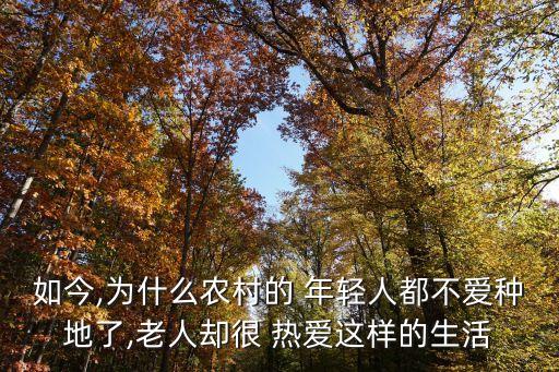 年轻人热爱农业文案怎么写,农业抖音文案应该怎么写