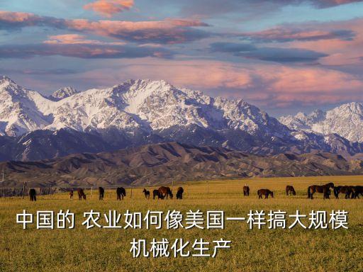 焦点农业怎么样,南京焦点科技怎么样