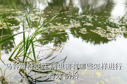 现代农业有什么病虫害防治