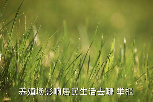 怎么举报农业局,举报农业局 审判案例