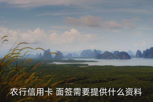 农业银行怎么才能面签成功