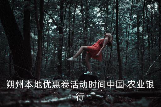 朔州本地优惠卷活动时间中国 农业银行