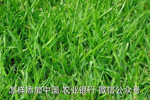 怎样添加中国 农业银行 微信公众号
