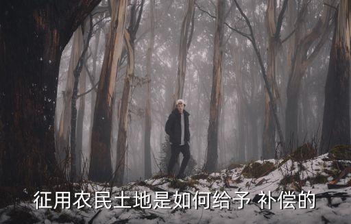 征用农民土地是如何给予 补偿的
