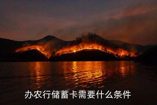 农业银行怎么申请办存款
