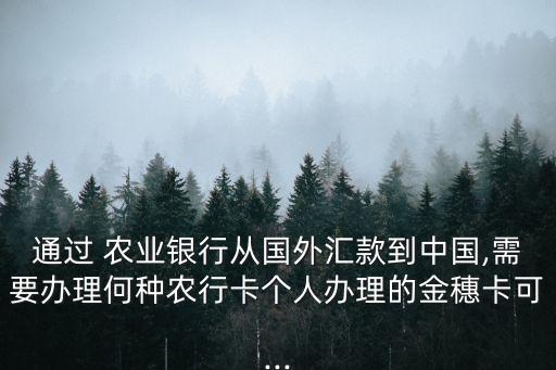 北汇农业银行怎么走