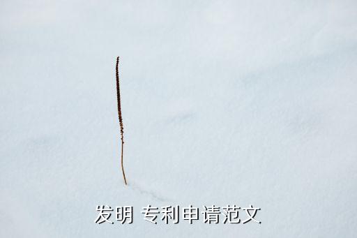 农业专利申请书怎么写,app专利申请书怎么写