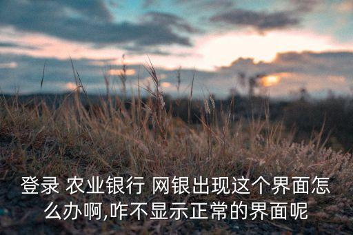 登录 农业银行 网银出现这个界面怎么办啊,咋不显示正常的界面呢