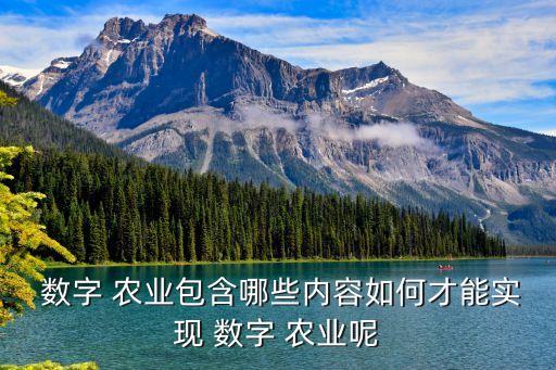 农村数字农业补贴是什么,一次性农业补贴是什么意思