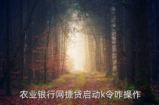  农业银行网捷贷启动k令咋操作