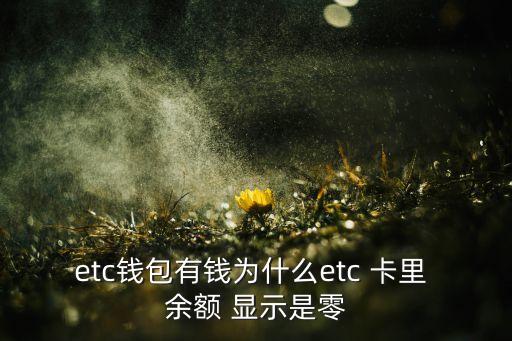 农业ETC怎么卡里没显示余额