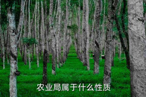 农业行政是什么,农业公司行政岗位职责