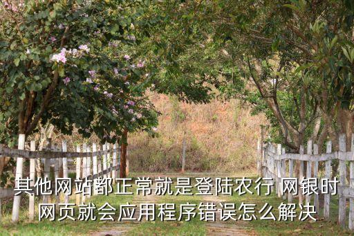 农业银行网银怎么修复