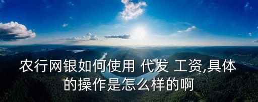 农业银行代发工资怎么发