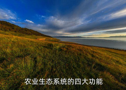 农业有些什么作用,农业在社会经济发展中有什么作用