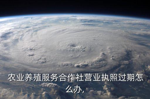 农业植保公司怎么办理