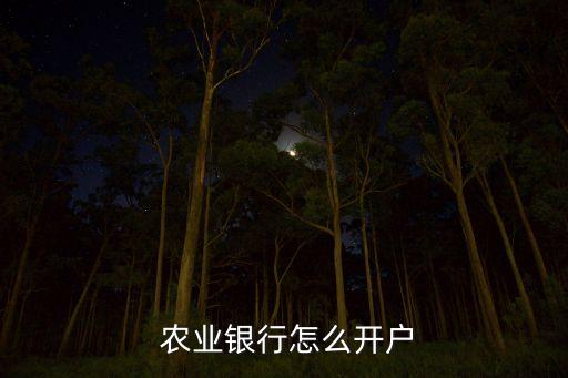 怎么开农业银行卡流程,学校发的农业银行卡激活流程