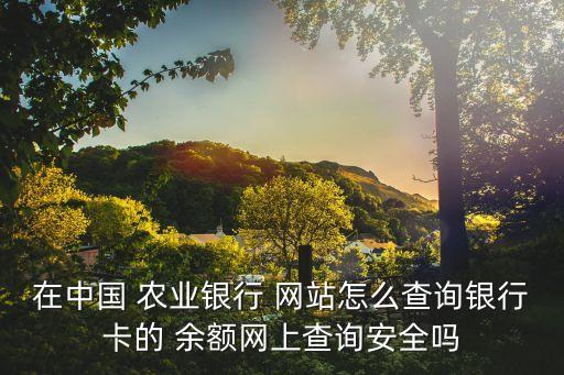 农业网站怎么查余额