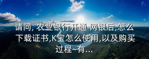 请问, 农业银行开通 网银后,怎么 下载证书,K宝怎么使用,以及购买过程~有...