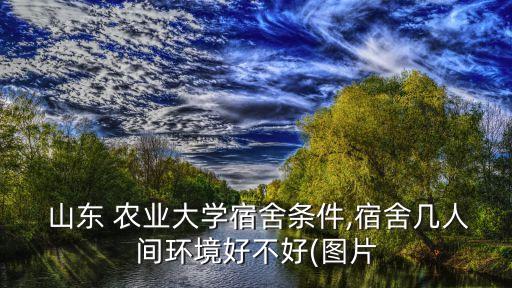 山东农业大学怎么洗澡,怎么评价山东农业大学的宿舍