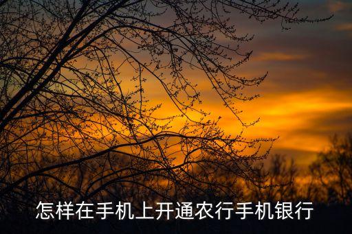 怎样在手机上开通农行手机银行