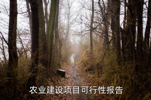  农业建设项目可行性报告