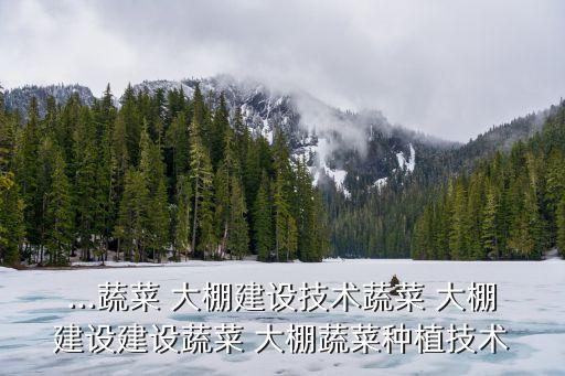 农业大棚怎么建好呢视频