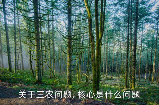 农业农村核心项目是什么,农业ppp项目是什么意思