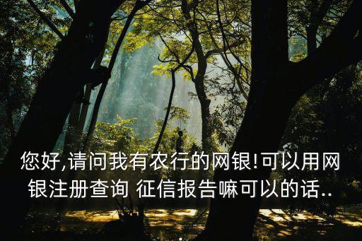 您好,请问我有农行的网银!可以用网银注册查询 征信报告嘛可以的话...